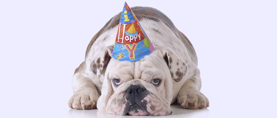 Feliz aniversário meu amigo