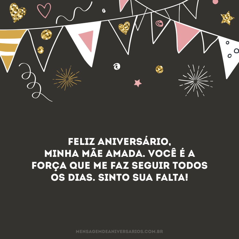 Feliz aniversário, minha mãe amada. Você é a força que me faz seguir todos os dias. Sinto sua falta!