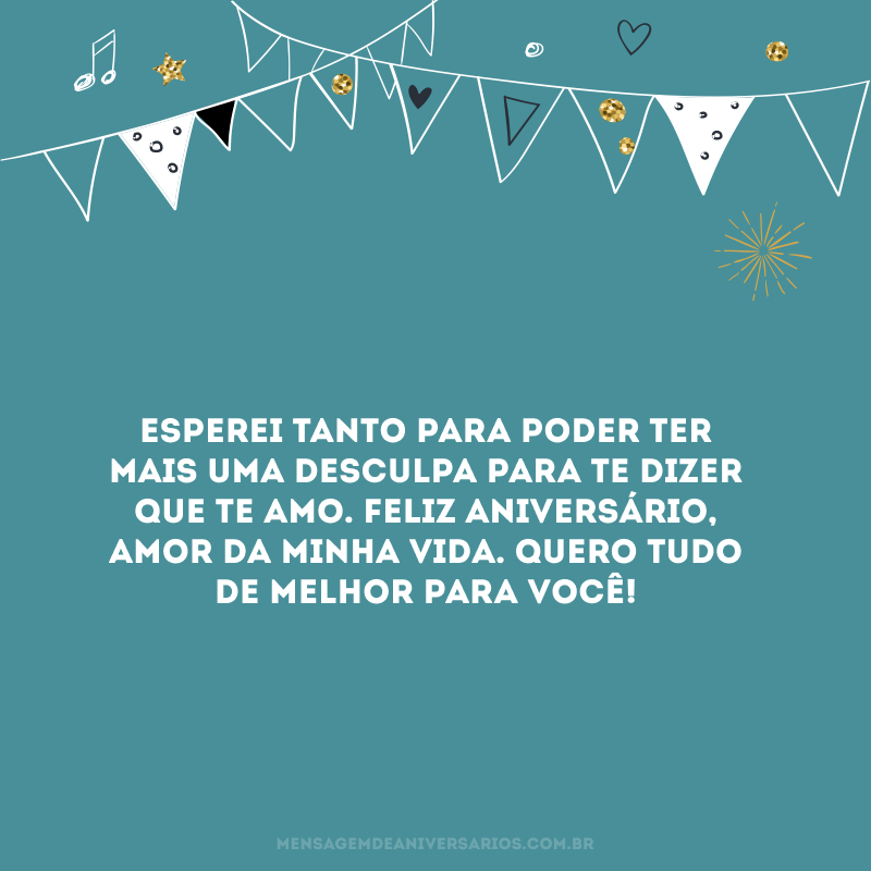 Esperei tanto para poder ter mais uma desculpa para te dizer que te amo. Feliz aniversário, amor da minha vida. Quero tudo de melhor para você!


